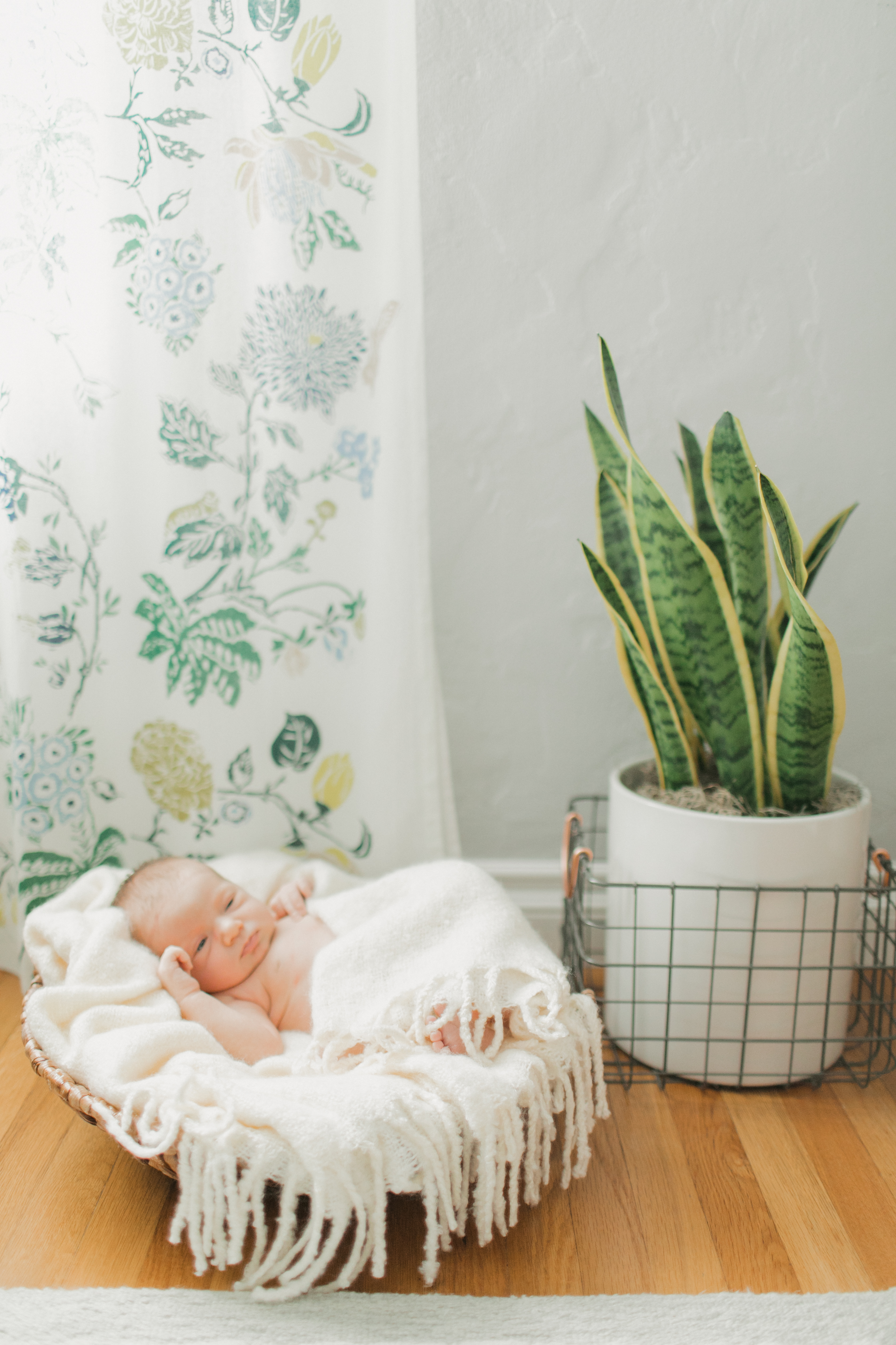 newborn photography